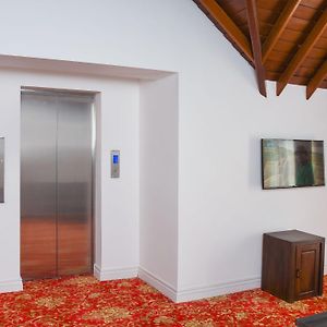 Suite Mountain View